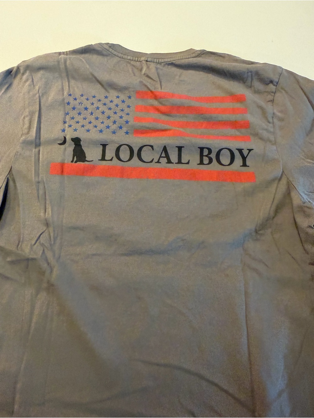 Local Boy Graphic Short Sleeve Tee in Gray